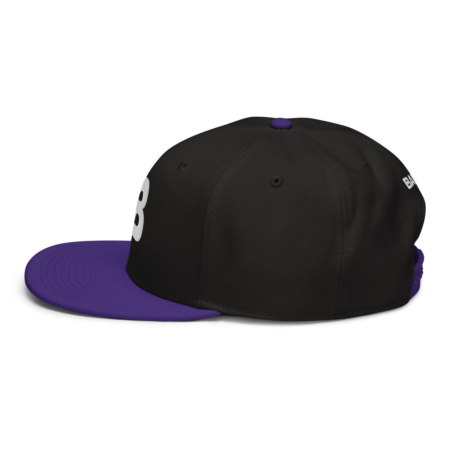 Barlz Hat Aqua Black & Purple