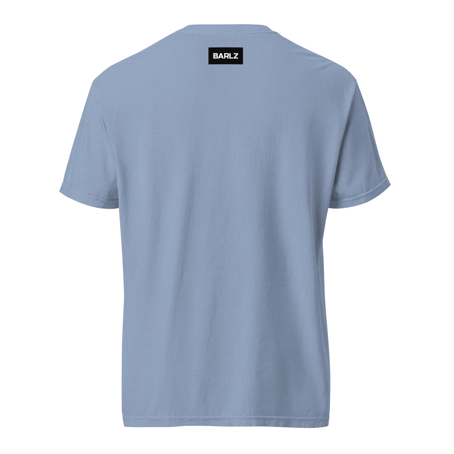 unisex-garment-dyed-heavyweight-t-shirt-washed-denim-back