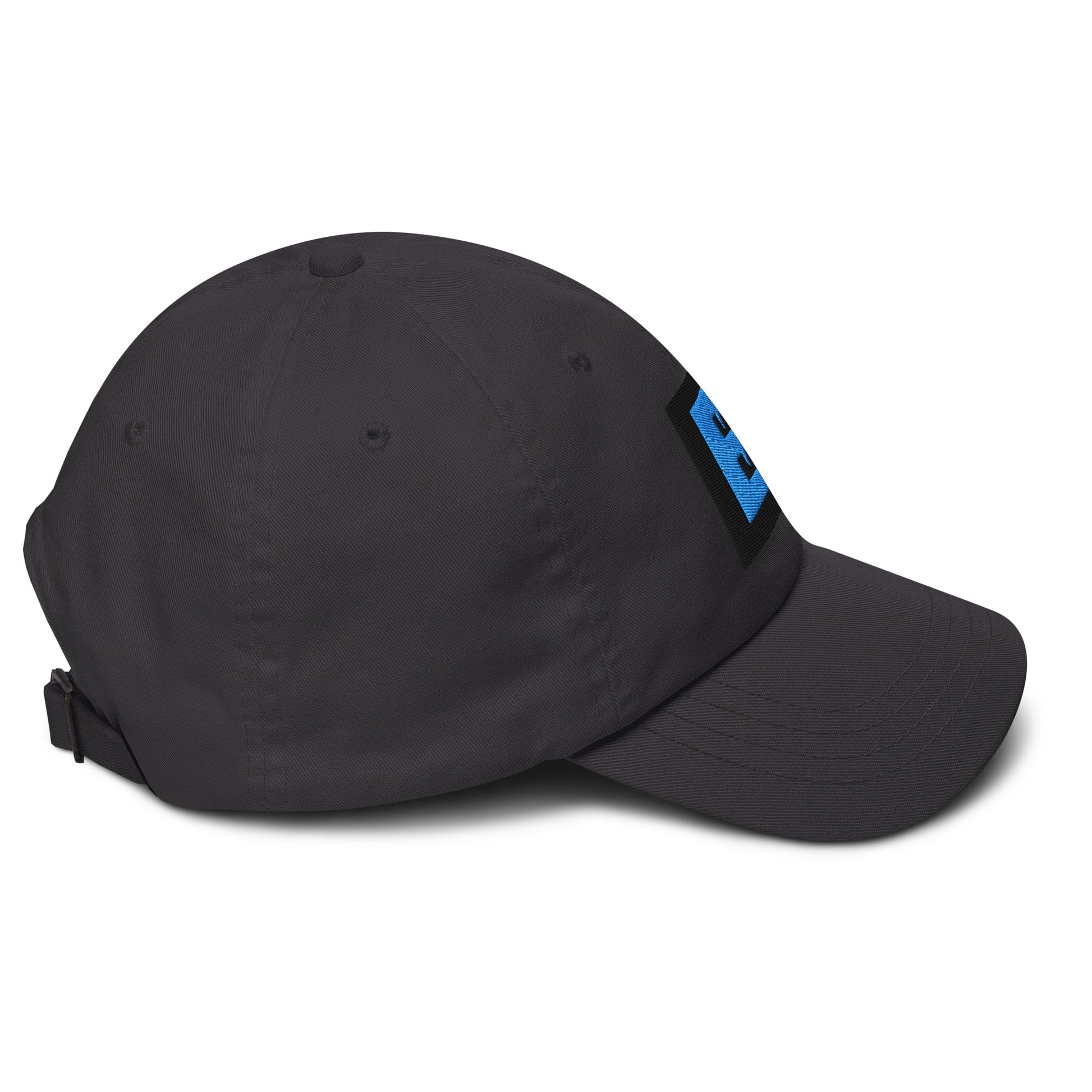 Classic Dad Hat Dark Gray