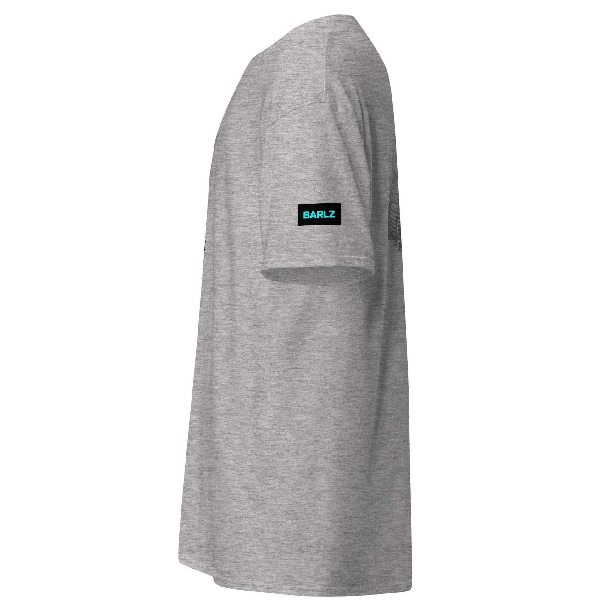 Classic T-Shirt Gray