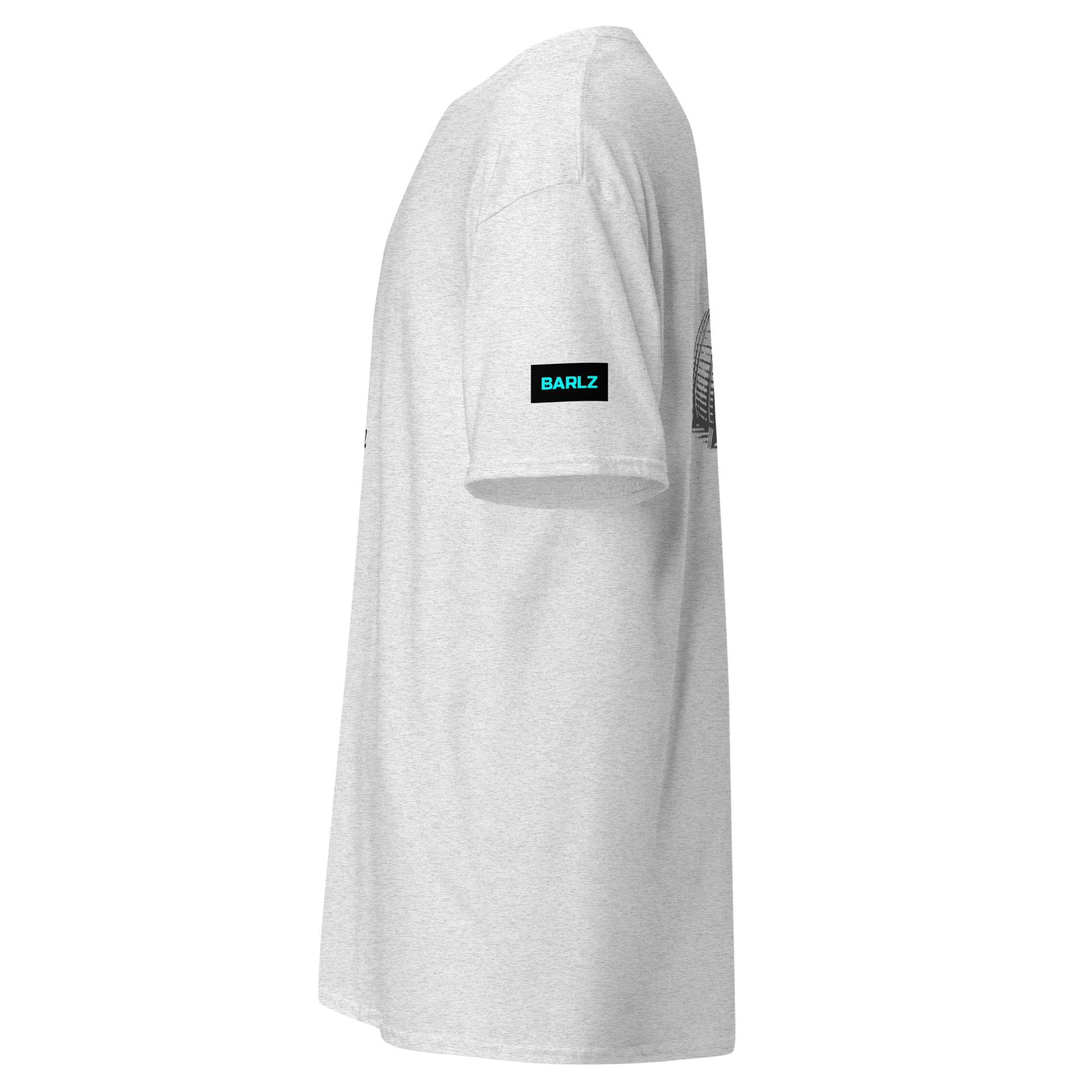 Classic T-Shirt Tee Ash
