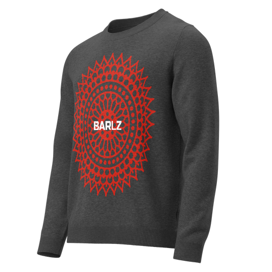 Knitted crew neck sweater