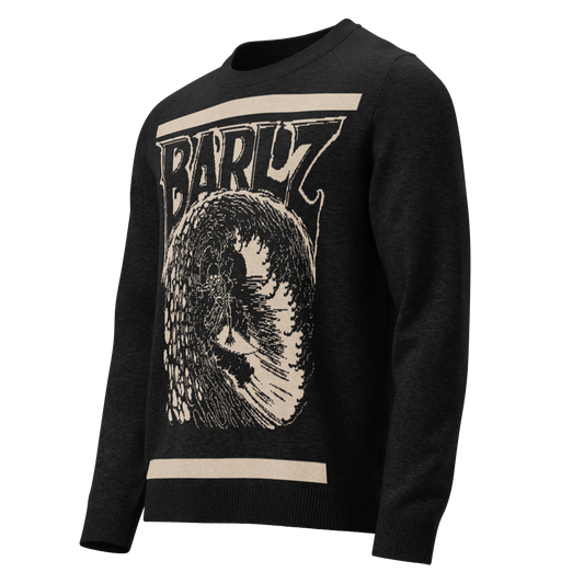 Knitted crew neck sweater