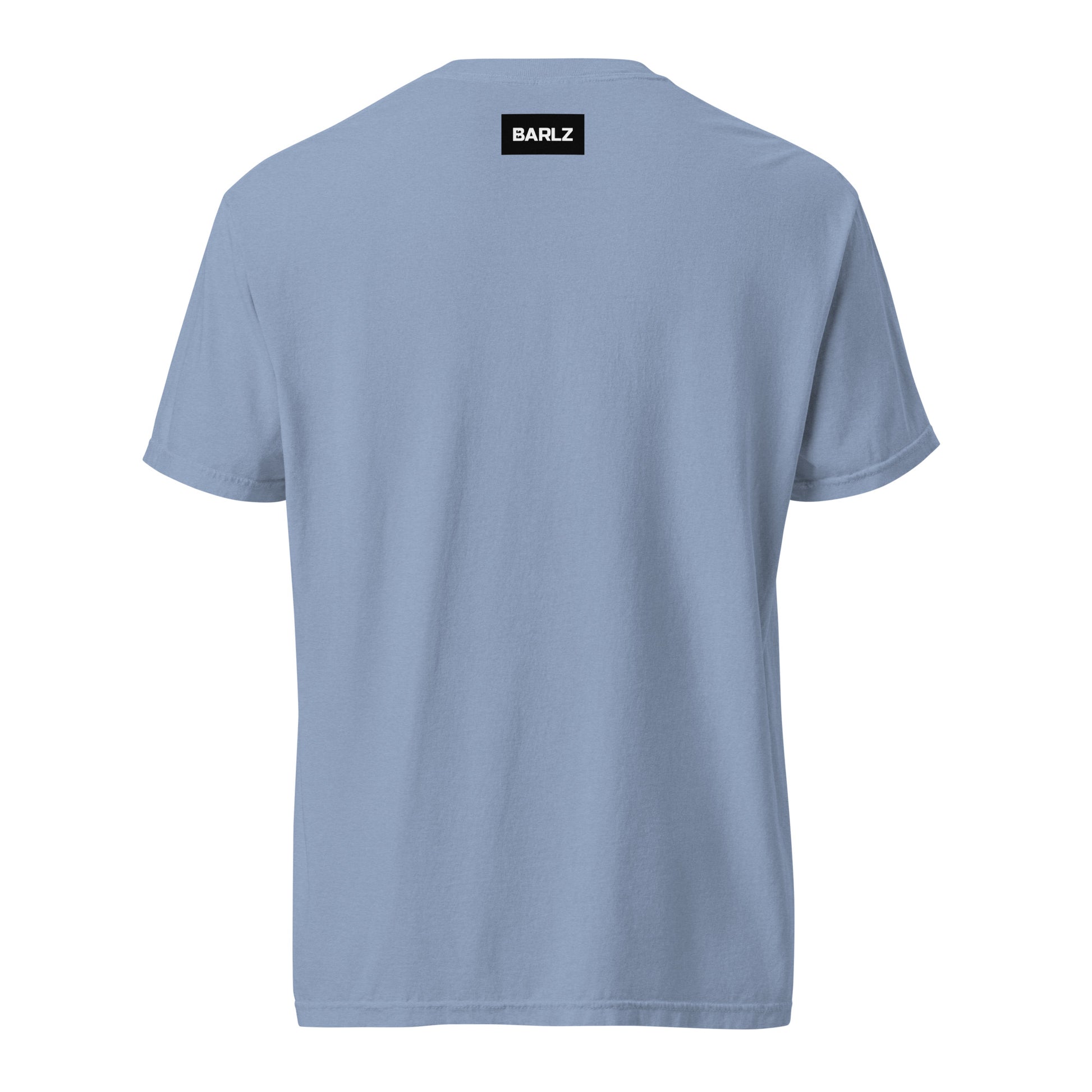 unisex-garment-dyed-heavyweight-t-shirt-washed-denim-back